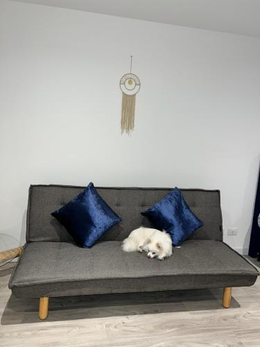 Hermoso Y Moderno Apartamento En La Calle 72