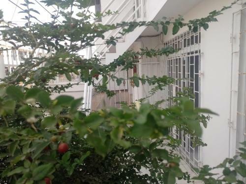 Apartamento Econ�mico Familiar Canapote