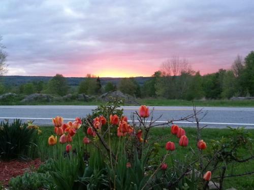 Au G�te Du Cerf Argent� B&B