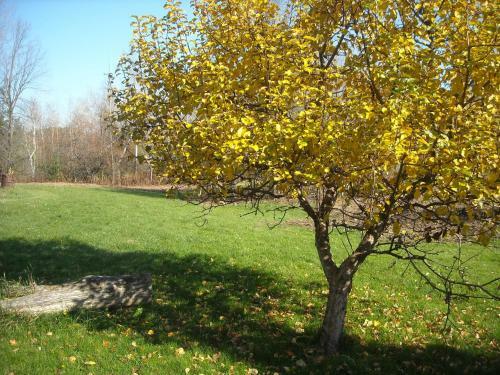 Au G�te Du Cerf Argent� B&B