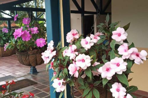 Rionegro Casa Campestre El Escampadero