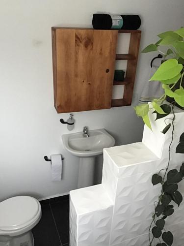 Astromelio House Coliving Expats 201