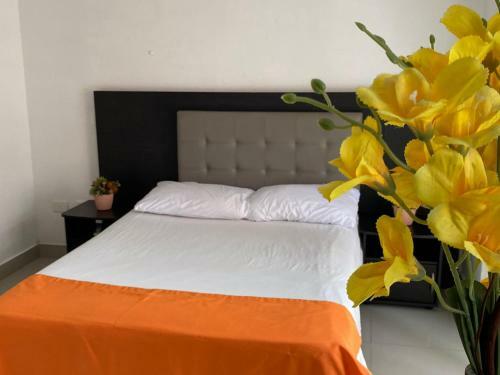 Apartaestudios Laureles Medell�n
