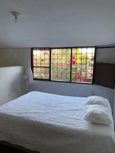 Hostal Vegan Room