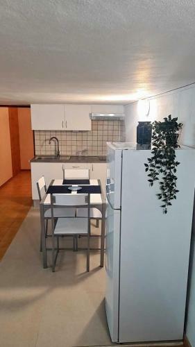Amplio Apartamento Reci�n Reformado