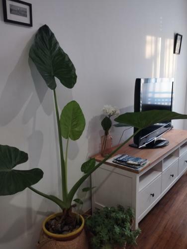 Apartamento Piso.2hab+2ba�os+garaje+asc+a C.