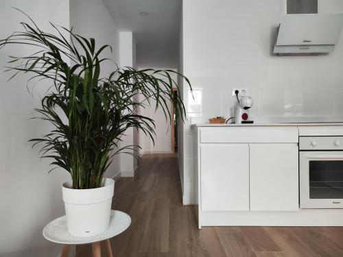 Apartamento Al Sur Tarifa 1