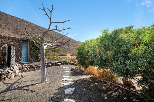 Ecolodge Finca Chafariz