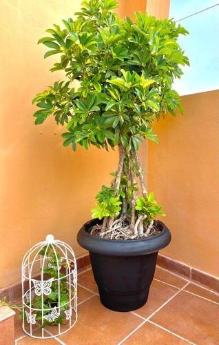 Apartamento Casa Cotejo, Estilo Y Comodidad En Tacoronte