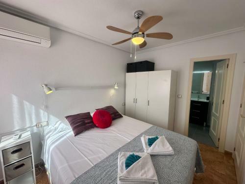 Homely Apartments San Pascual