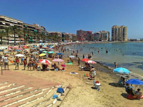 Homely Apartments San Pascual