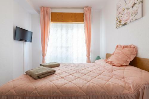Apartamento Torrevieja Playa Acequion