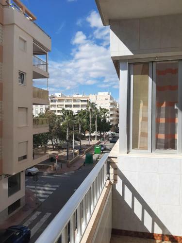 Beautiful Large Apartment Playa Del Cura