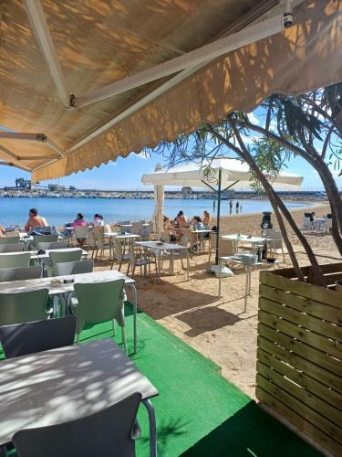 Apartamento Torrevieja Studio Playa Del Acequion