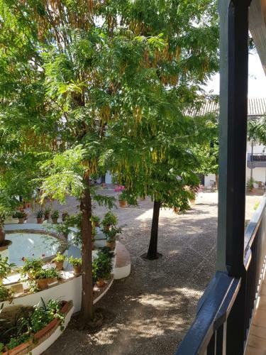 Apartamento Patio Andaluz Siglo XVI