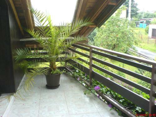 Hostal Privat Apartma Ulrych