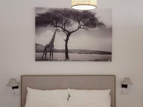 Agradable Apartamento En El Centro De Sevilla