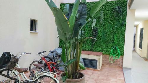 Apartamento Misterhost D�plex C�ntrico Y Tranquilo Wifi Smarttv