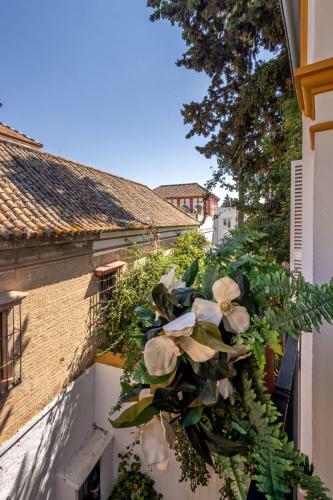 Santa Cruz Apartment, 2 Pax, Quiet And Stil
