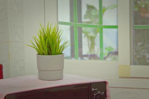 Apartamento Corral De La Alameda