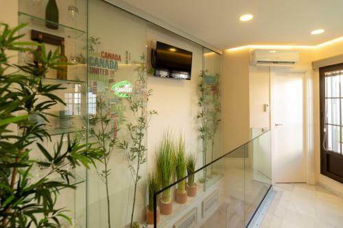 Apartamento The Terrace, D�plex Con Terraza Privada