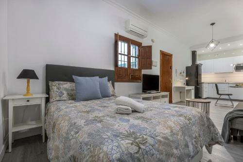 Apartamento Estudio Calle Ba�os