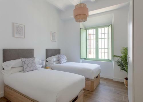 Apartamento Hommyhome Teodosio