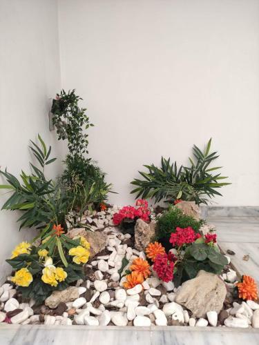 Apartamento Metropol Sweet Home