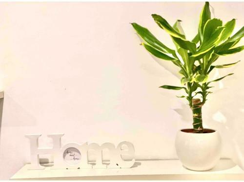 Bonito Apartamento En El Centro Hist�rico