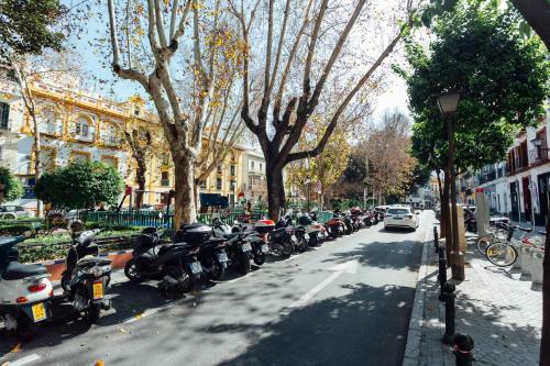 Apartamento Luxury And Cozy- 1bd 1bth- Las Setas