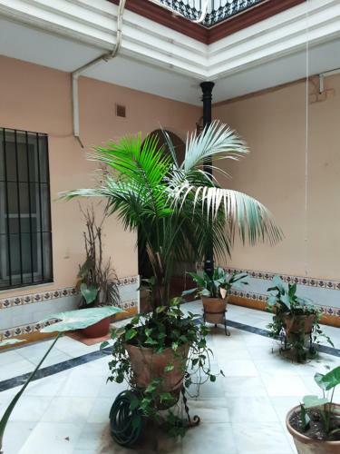 Apartamento La Caba�a