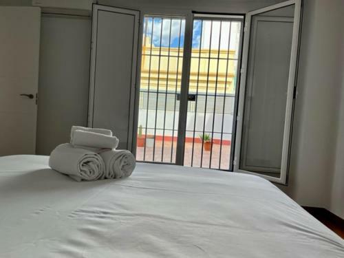 Apartamento Ti2 D�plex Con Terraza Privada, 120 Metros De La Catedral