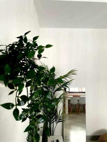 Apartamento San Julian Centro 6 Pax Click&host