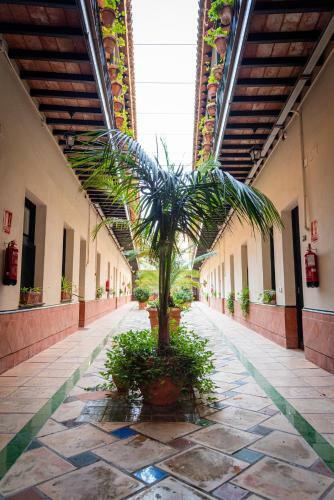 Apartamento Hoteles Del Sur