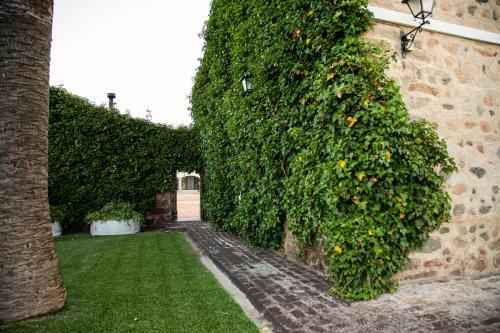 Hotel Alojamiento Rural Finca Barral