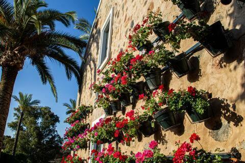 Hotel Alojamiento Rural Finca Barral