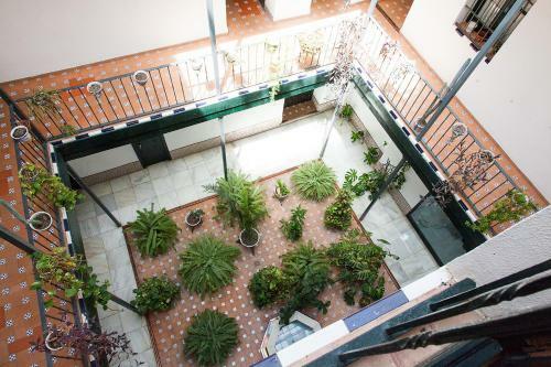 Apartamento Gotoseville Sierpes Suite