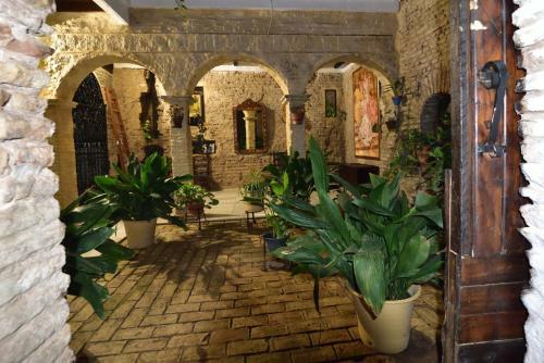 Suite Do�a In�s Barrio Santacruz