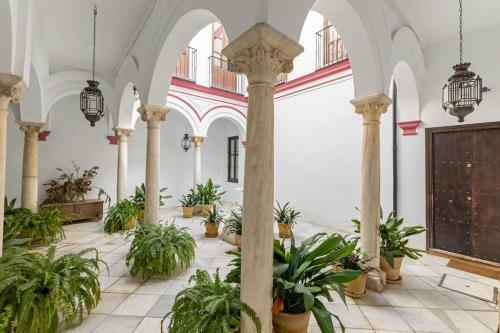 Apartamento Ohliving La Juder�a