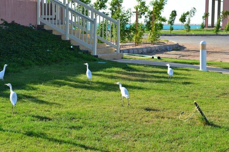 Golden Marina Resort