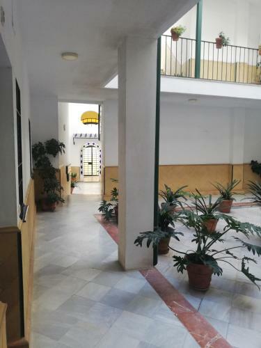 Apartamento El Alcazar De Ana