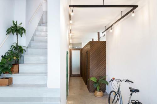 Magno Apartments San Luis Luxury House