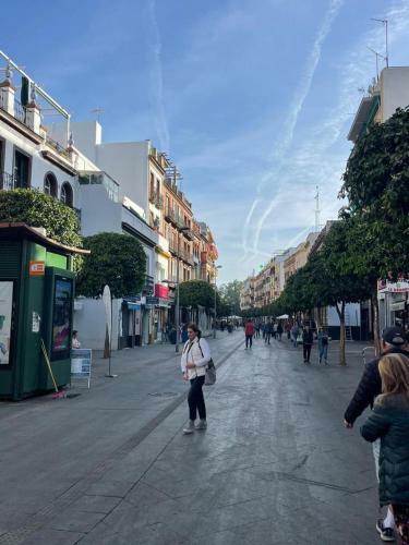 Apartamento 180 Home. Rinc�n De Triana