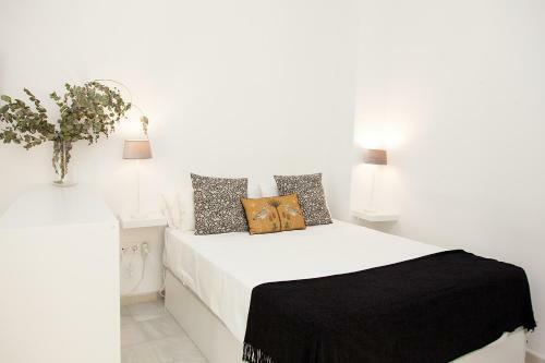 Apartamento Gotoseville Siete Revueltas