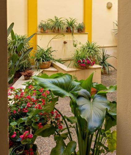 Apartamento New! Ohliving Triana