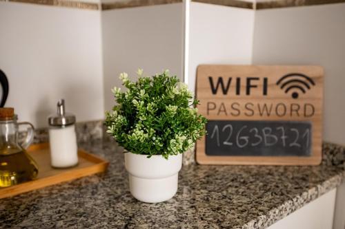 Apartamento Do�a Concha Alameda