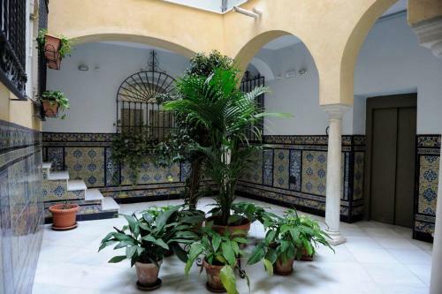 Apartamento Museo De Bellas Artes