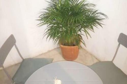 Sweet Catalina-centric Apartment 4 Guests