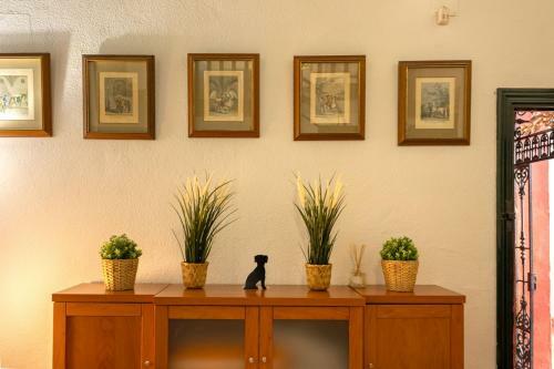 Apartamento Siglo De Oro