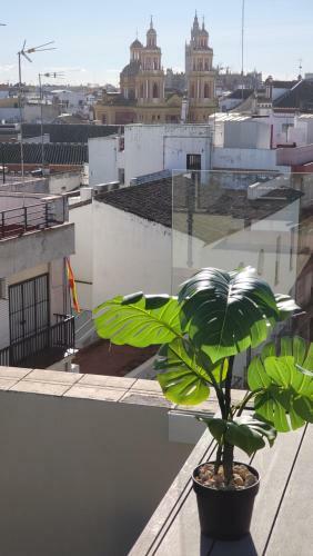 Apartamento Rentalsevilla Cardenal Cervantes